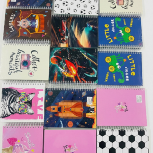 LIBRETA PROFESIONAL 100H